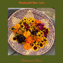 Load image into Gallery viewer, 2026 February - Vendor Fees and Show Program